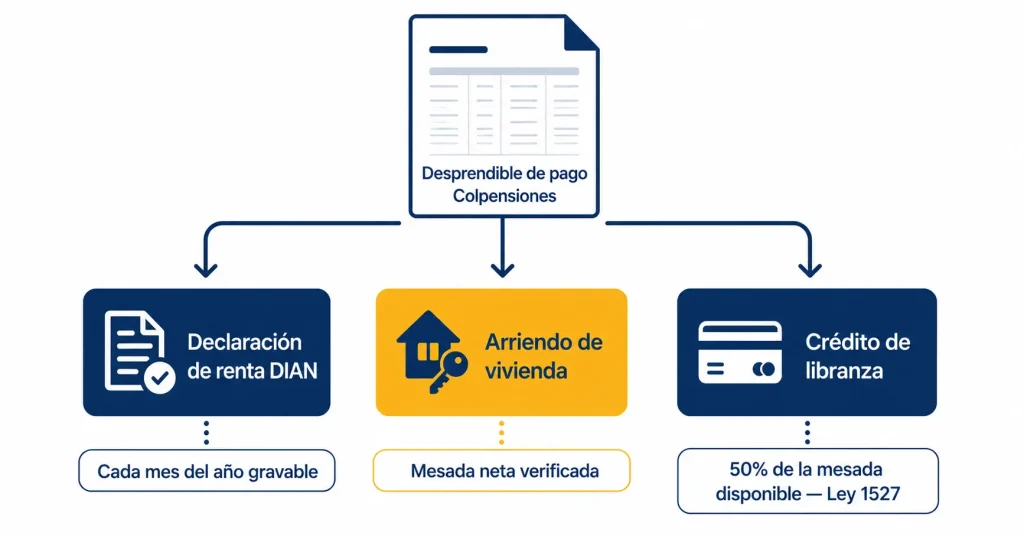Infografía: el desprendible de pago de Colpensiones sirve para declaración de renta ante la DIAN, arriendo de vivienda y solicitud de crédito de libranza